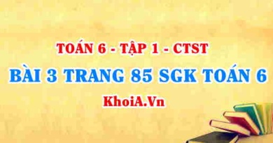 Bài 3 trang 85 SGK Toán 6 Chân trời sáng tạo Tập 1
